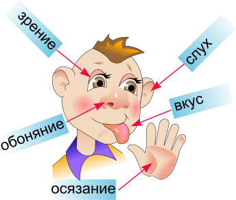 Информация и её свойства.