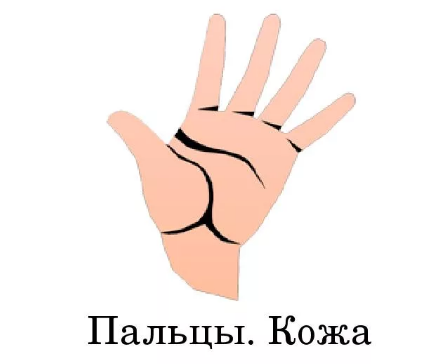 Информация и её свойства.