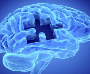 Математические основы информатики. Высказывания